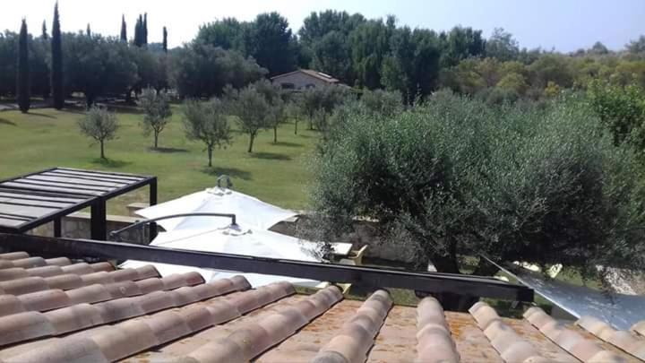 Agriturismo Lupo Cerrino Tarquinia Extérieur photo