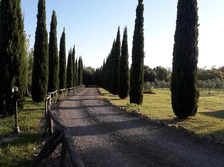 Agriturismo Lupo Cerrino Tarquinia Extérieur photo