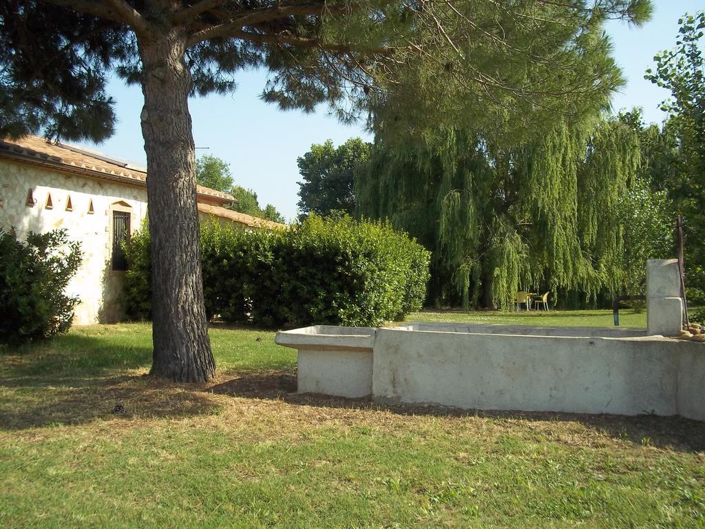 Agriturismo Lupo Cerrino Tarquinia Chambre photo
