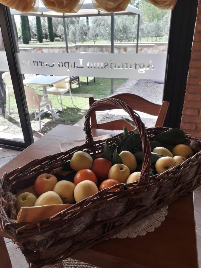 Agriturismo Lupo Cerrino Tarquinia Extérieur photo