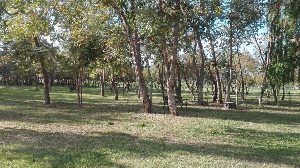 Agriturismo Lupo Cerrino Tarquinia Extérieur photo